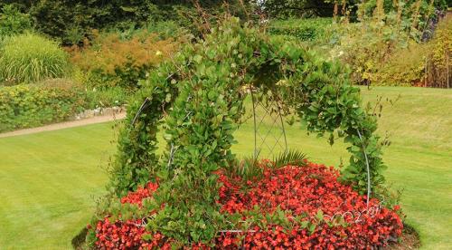 Садовые шпалеры для вьющихся растений своими руками. Из дерева 06 Садовые шпалеры для вьющихся растений своими руками. Из дерева 06