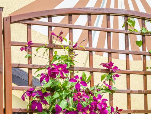 Садовые шпалеры для вьющихся растений своими руками. Из дерева 13 Садовые шпалеры для вьющихся растений своими руками. Из дерева 13