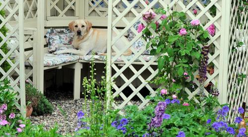 Садовые шпалеры для вьющихся растений своими руками. Из дерева 12 Садовые шпалеры для вьющихся растений своими руками. Из дерева 12