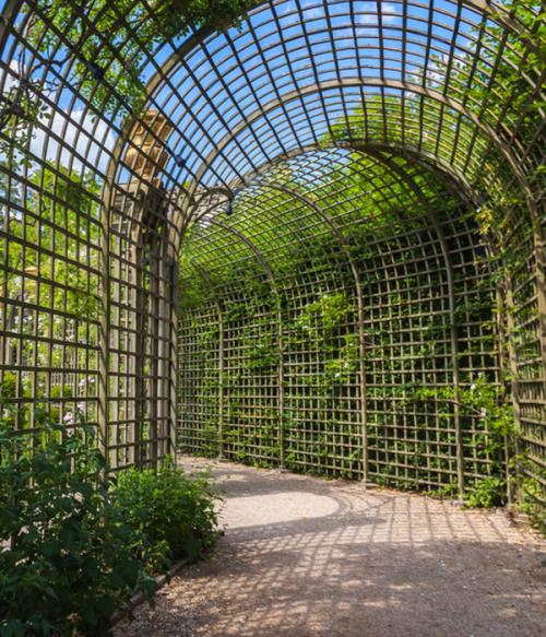 Садовые шпалеры для вьющихся растений своими руками. Из дерева 25 Садовые шпалеры для вьющихся растений своими руками. Из дерева 25