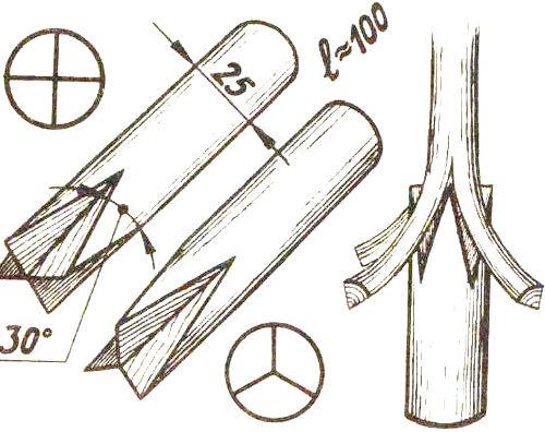 Плетение корзины из ивового прута. Технология плетения 23