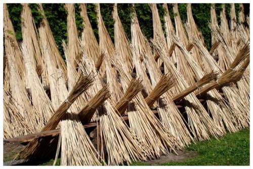 Плетение корзины из ивового прута. Технология плетения 22