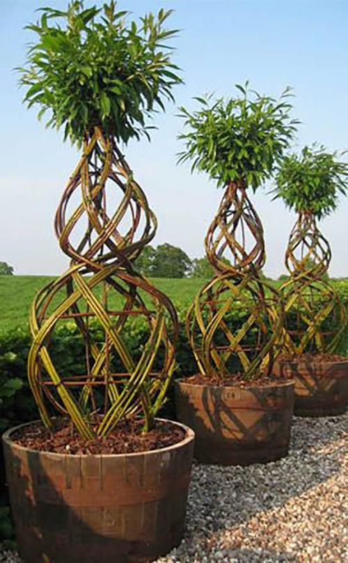 Плетение из лозы для сада. Живая изгородь и другие креативные идеи плетения из лозы!