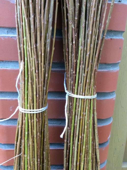 Плетение из ивы своими руками. Заготовка материала 04