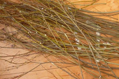 Уроки плетения из лозы для начинающих. Плетение из лозы 01 Уроки плетения из лозы для начинающих. Плетение из лозы 01