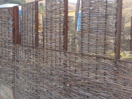 Заготовка лозы для плетения забора. Заготовка основных материалов