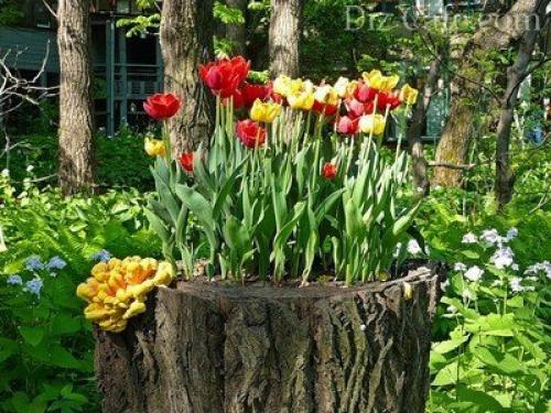 20 оригинальных поделок из пней, которые станут стильными и функциональными деталями дома и сада 13