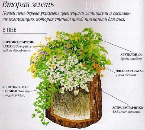 20 оригинальных поделок из пней, которые станут стильными и функциональными деталями дома и сада 12