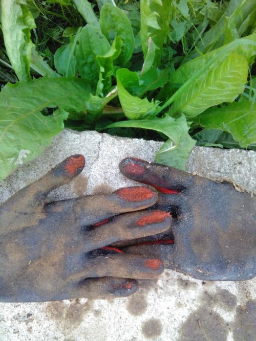 Садовая дорожка из спилов дерева. Дорожка из срезов дерева. Нюансы.